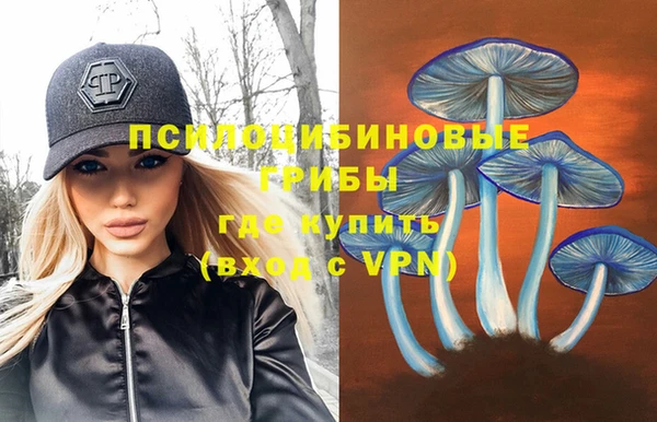 apvp Алексеевка