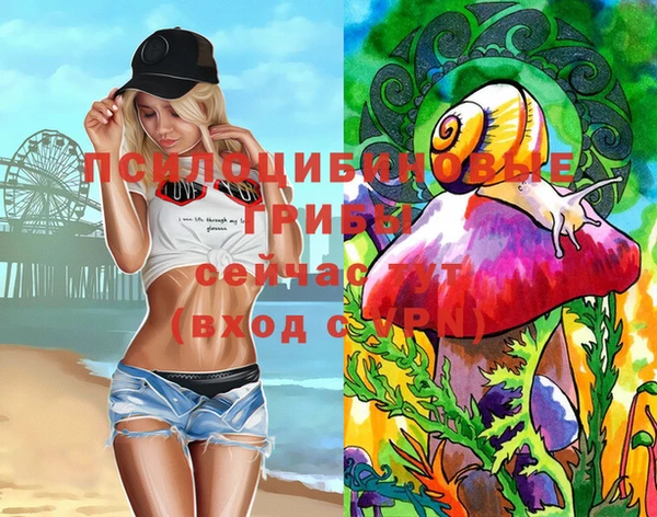 apvp Алексеевка