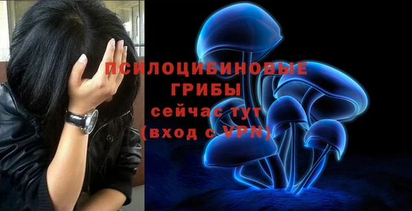 синтетический гашиш Алексин