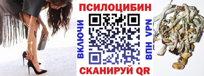 Псилоцибиновые грибы мицелий  купить наркотик  Тихвин 